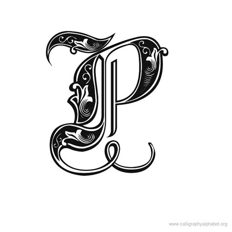 These are really cool, cute, and stylish p letter dp. Calligraphy Alphabet P | Alphabet P Calligraphy Sample Styles