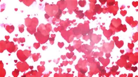 Valentines Day Floating Hearts Background Loop Animation Valentines