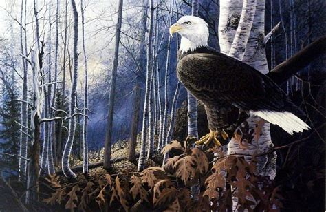 Artist Donald Blakney Bald Eagle Art Print Northern Splendor