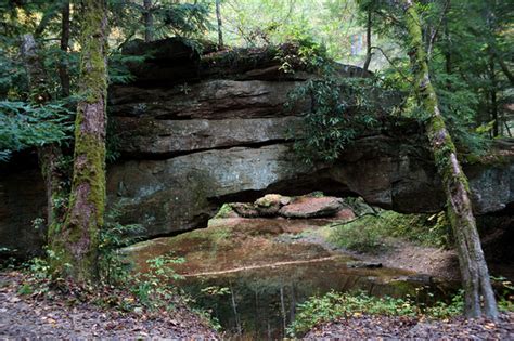 Photography By Ed Ponikwia Kentucky Rock Bridge Red River Gorge Ky