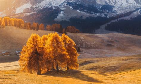 Italy Dolomites Autumn Landscape With Bright Colors House And Larch
