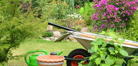 We did not find results for: Garten im Juli: Tipps für die sommerliche Gartenpflege