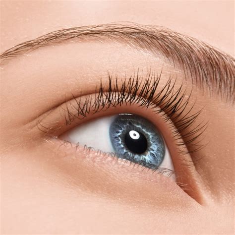 Foltene eyelash and eyebrow treatment. Eyelash Tint & Eyebrow Shape - Urban Spa