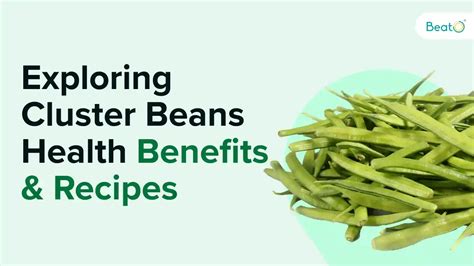 Cluster Beans Benefits Nutritional Profile Culinary Advantages And