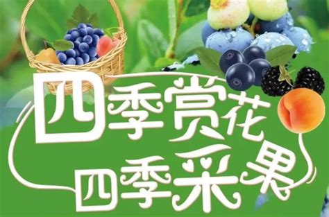 复 制 成 功 打 开 微 信. 端午去哪儿 | "四季赏花 四季采果"，六安精品旅游线路推荐（上）_中国网