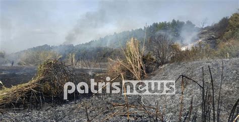 Δείτε τις τελευταίες ειδήσεις από την ελλάδα και τον κόσμο και ενημερωθείτε για τα έκτακτα γεγονότα σε κοινωνία και πολιτική. Φορμουλα 1 Σημερα - ΟΛΥΜΠΙΑΚΟΣ: ΠΡΩΤΟΣΕΛΙΔΑ ΑΘΛΗΤΙΚΩΝ ...