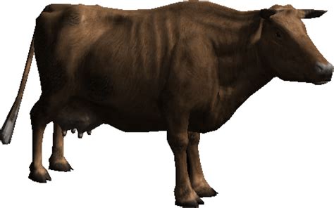 Cattle Png Clipart Png All Png All