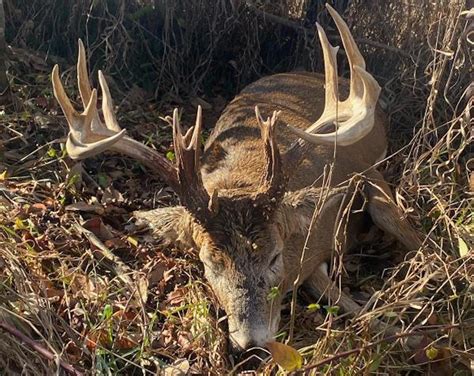 Jaw Dropping Trio Of Monster Non Typical Bucks Game And Fish