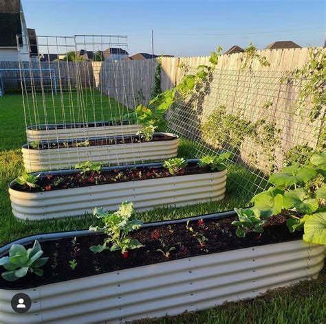 How Growing Vegetables On Slope Becomes Easy With Raised Garden Beds