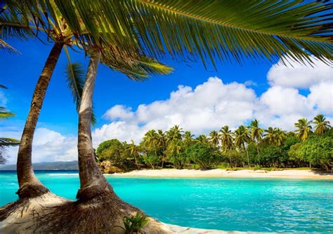 4028x2835 4028x2835 Beach Ocean Palms Paradise Sea Summer