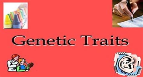 Free Download Genetic Traits Powerpoint Presentation