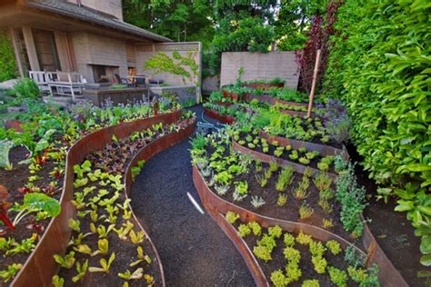 Terrace Raised Vegetable Garden Design Garden Layout Vegetable