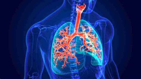 Respiratory System Disease