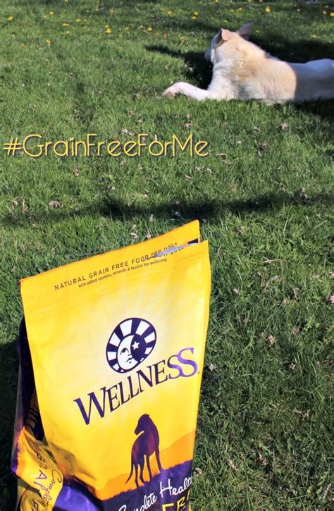 Looking for a delicious dog food for a sensitive stomach can be tough, but it doesn't have to be. Grain Free Dry Dog Food is at PetSmart #GrainFreeForMe ...