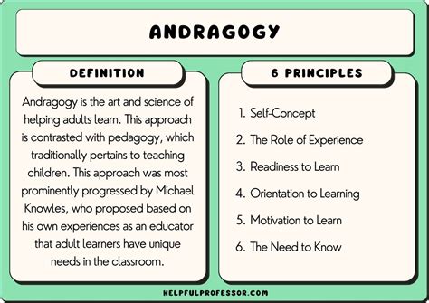 The Six Principles Of Andragogy Malcolm Knowles
