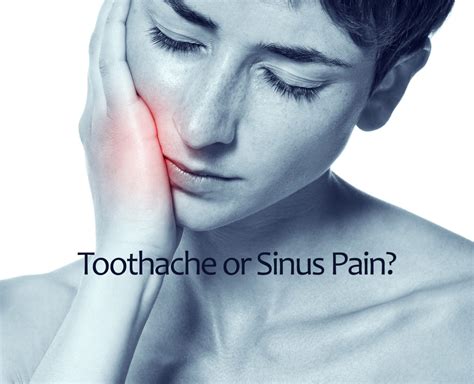 Is It Toothache Or Sinus Pain See Erbsville Dental Waterloo For Diagnosis