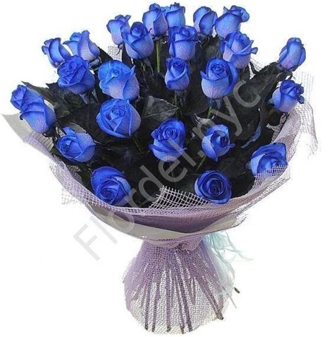 2 Dozen Of Blue Roses