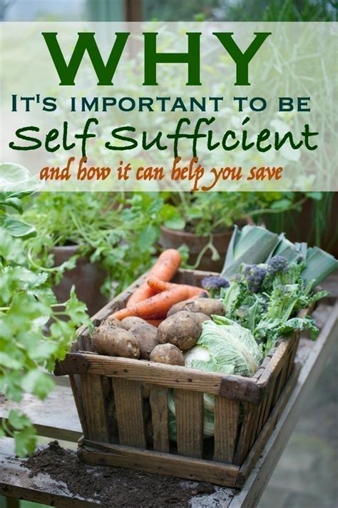 Why Its Important To Be Self Sufficient How It Can Help You Save