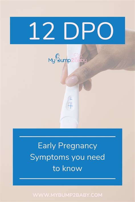 12 Dpo Early Pregnancy Symptoms You Need To Know Artofit