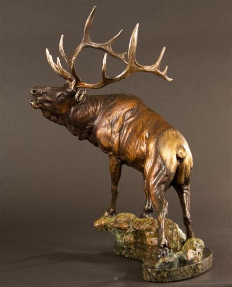 North American Animals Big Game Trinchera Trophy Bugling Bull Elk