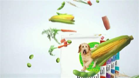 Purina Beneful Healthy Weight Tv Commercial Time To Play Ispottv