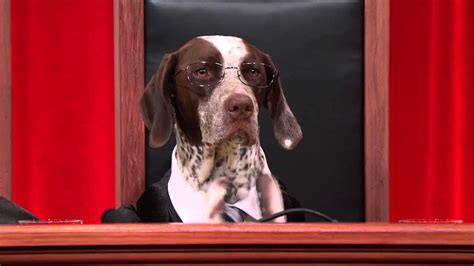Dog Supreme Court Debates Human Sacrifice Puppyjustice