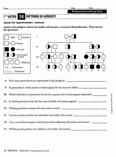 Genetics Pedigree Worksheet Answers