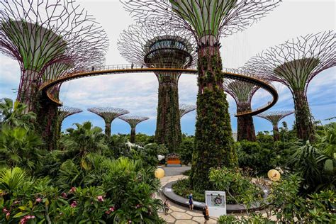 Las 5 Atracciones Turísticas Mejor Valoradas De Singapur