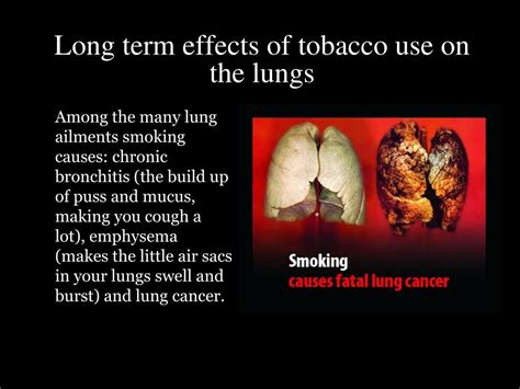 Ppt Tobacco Powerpoint Presentation Free Download Id5766548