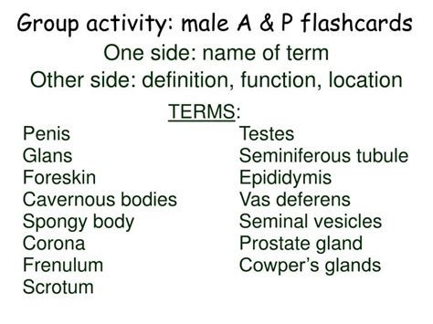 Ppt Chapter 5 Male Sexual Anatomy And Physiology Powerpoint