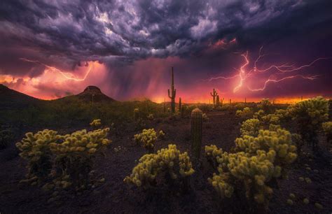 Desert Fireworks Sonoran Desert Arizona Landscape Lightning