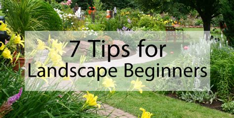 Most beginner diy landscape gardeners i talk to are dealing with one of two common scenarios. 7 Tips for Landscaping Beginners - Landscape Edging Blog
