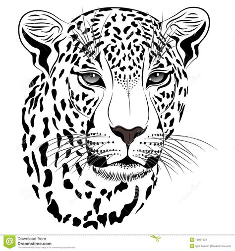 Tatuaje Del Leopardo Leopardo Dibujo Leopardo Para Dibujar Diseño