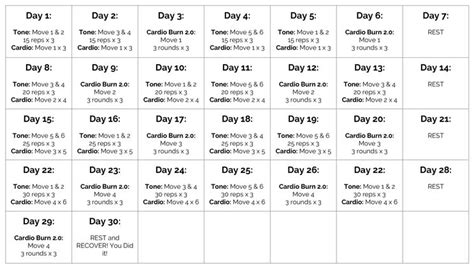 Full Body 30 Day Gym Workout Plan