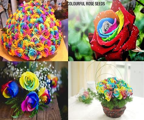 Popular Diy Crafts Blog How To Make Rainbow Roses