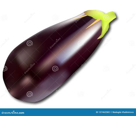 Illustration Of Colored Eggplant Vector Stock Vector Illustration Of
