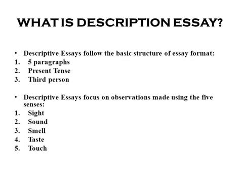 Example Of An Essay Written In Third Person