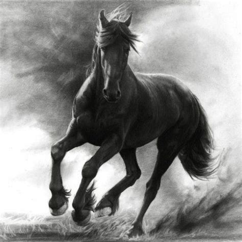 Download 895 realistic drawing horse stock illustrations, vectors & clipart for free or amazingly low rates! 48 best images about Hyper-realistic Pencil Drawings on ...