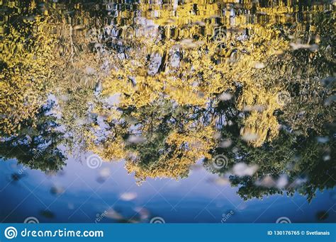 Reflection Of The Different Scenic Bright Colorful Autumn