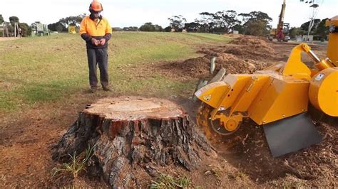 Professinals Offer Competitive Stump Grinding And Professional Stump