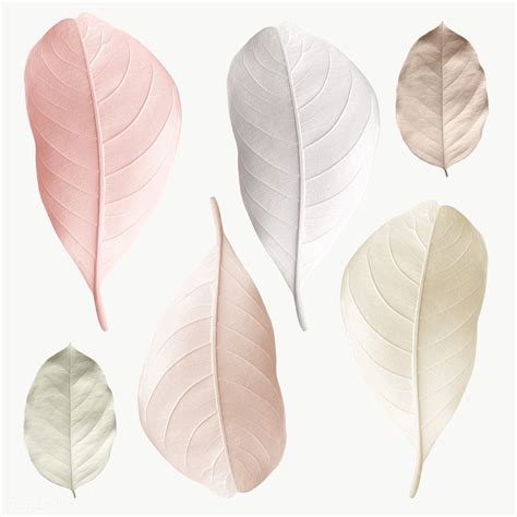 Download Premium Png Of Mix Of Pastel Leaves Design Element By Adjima
