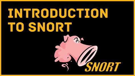 introduction to snort ids youtube