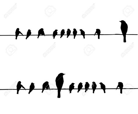 Vector Silhouettes Of The Birds On Wire Silhouette Silhouette