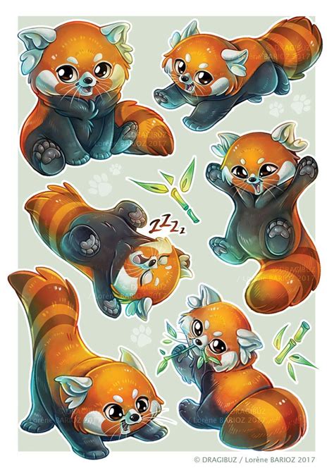 Some Cute Red Pandas Cute Animal Drawings Kawaii Drawings Cute