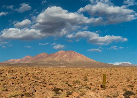 Fotos Gratis Paisaje Horizonte Desierto Montaña Cactus Nube Cielo Campo Pradera