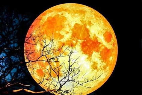 Gambar Bulan Purnama Yang Indah Bonus