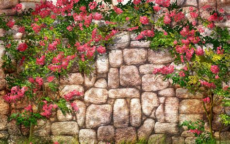 Stone Wall And Flowers