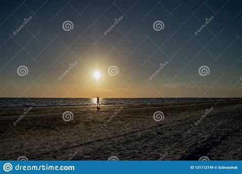Beachcomber Walks Fort Myers Beach During Sunset With