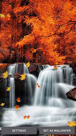 Falling Leaves Live Wallpaper For Android Falling Leaves Free Download