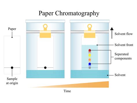 Chromatography Lesson Science CBSE Class 9